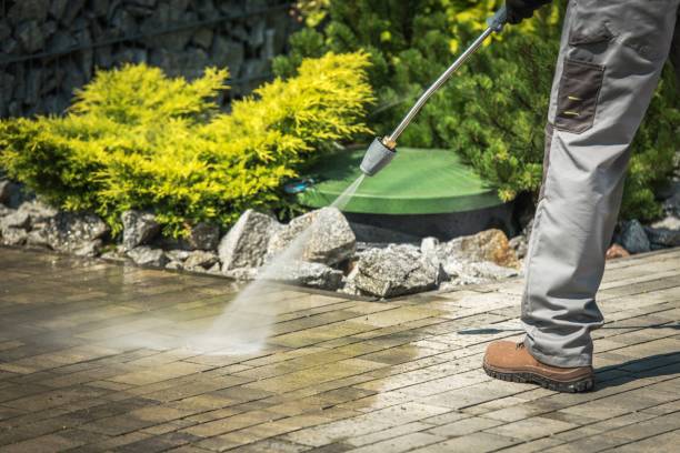  Northport, AL Pressure Washing Pros