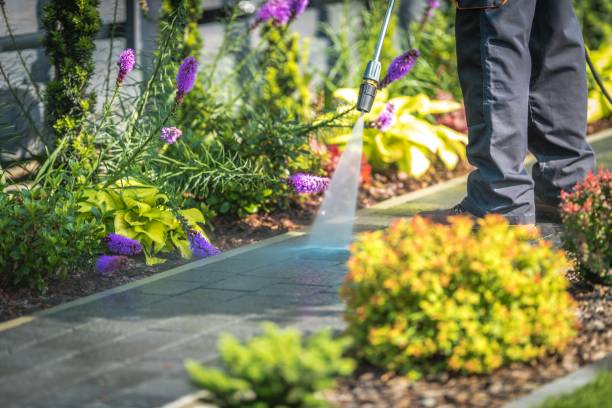 Northport, AL Pressure Washing Company